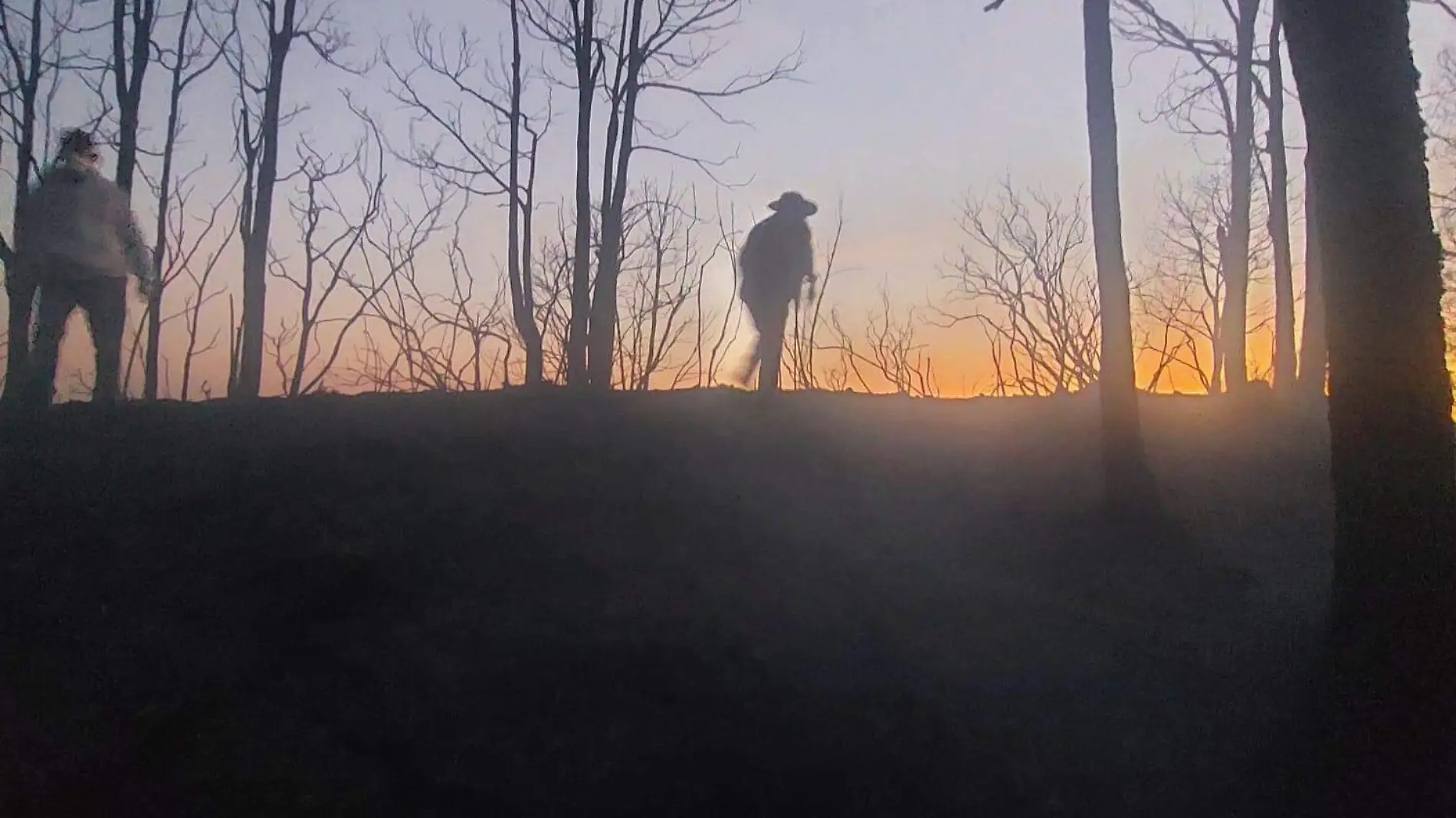 incendio cerro de la verónica